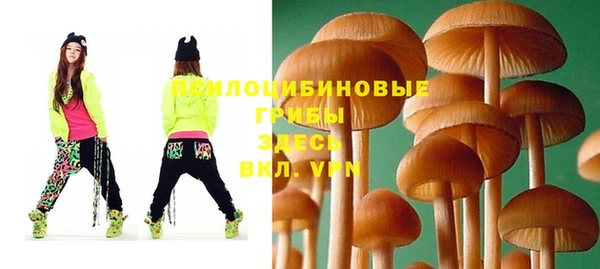 мяу мяу мука Надым