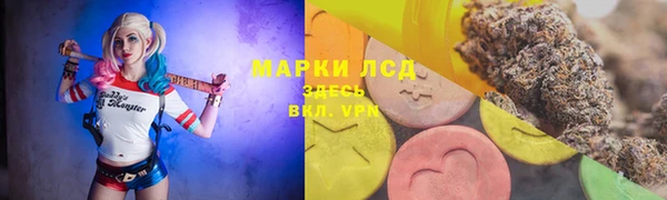 гидра Наволоки