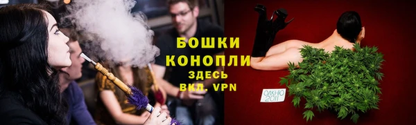 гидра Наволоки