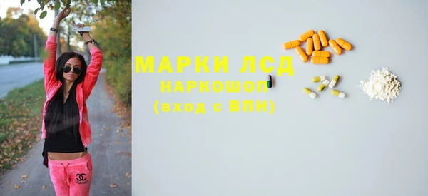 гидра Наволоки