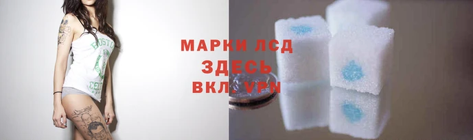 крисы Домодедово