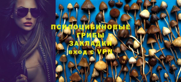 мяу мяу мука Надым