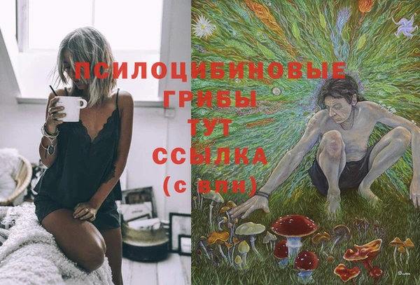мяу мяу мука Надым