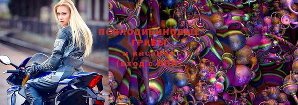 мяу мяу мука Надым