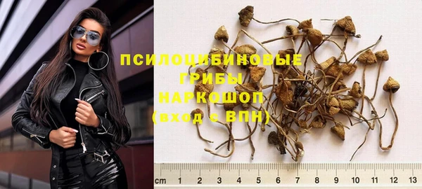 гидра Наволоки