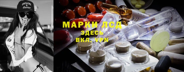 мяу мяу мука Надым