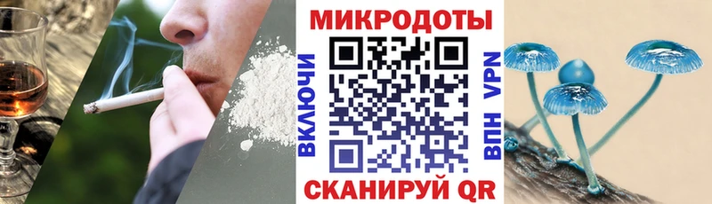Галлюциногенные грибы мицелий  hydra ONION  Североморск 