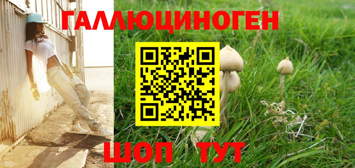 Псилоцибиновые грибы мицелий  Псилоцибиновые грибы прущие грибы  Вход с VPN  Североморск 