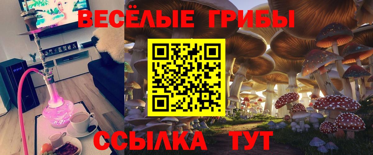 Псилоцибиновые грибы мицелий Североморск